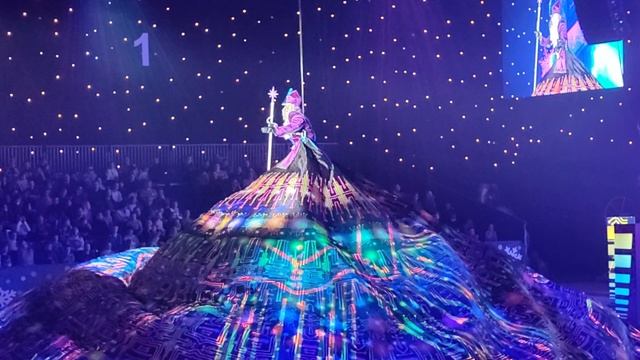 VID_20240105_145627.mp4