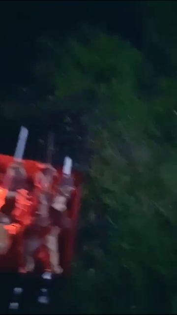 Уголь березовый в коробках