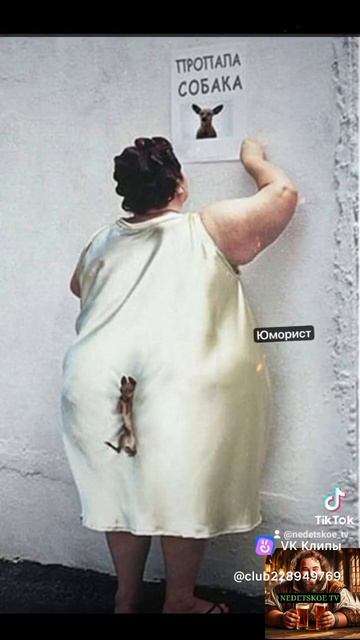 Пропала собака!?