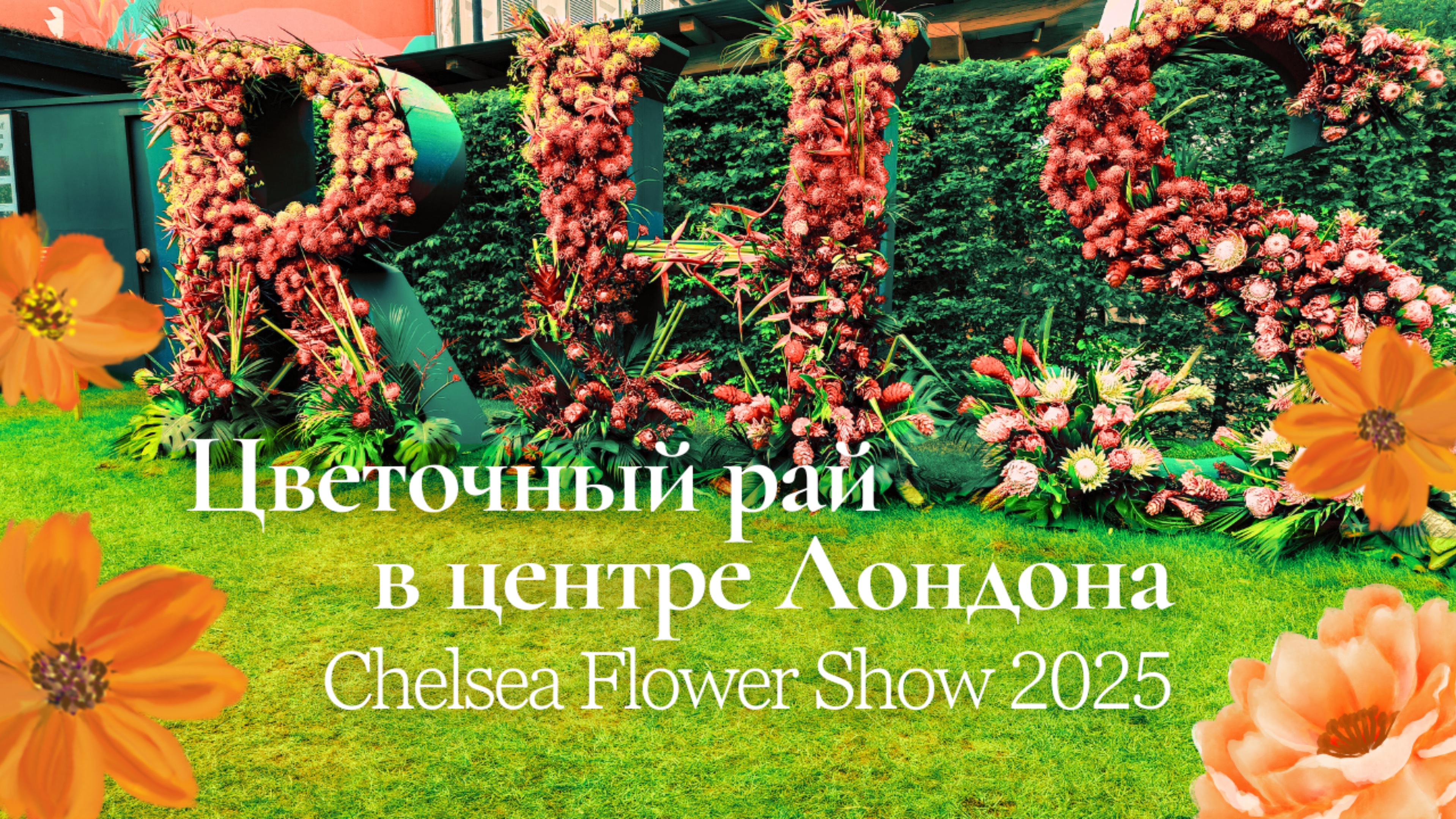 “RHS Chelsea Flower Show 2025: Погружение в атмосферу цветочного праздника”