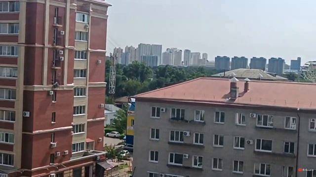 Вид с балкона дома Ленина 197. Благовещенск. Август 2024