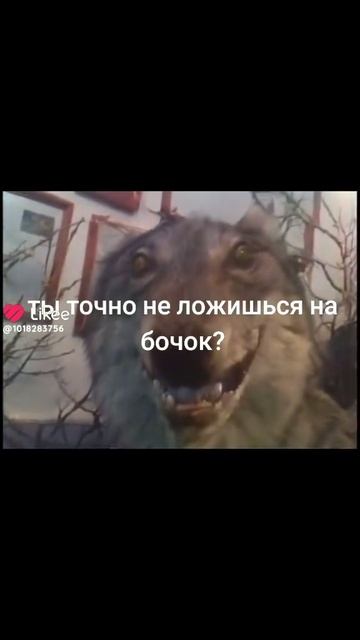 хз