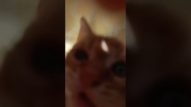 VID_20250526_173458