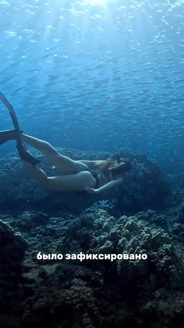 🦈Кто опаснее для человека: акула или комар?