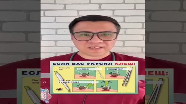 Сборник повседневных лайфхаков
