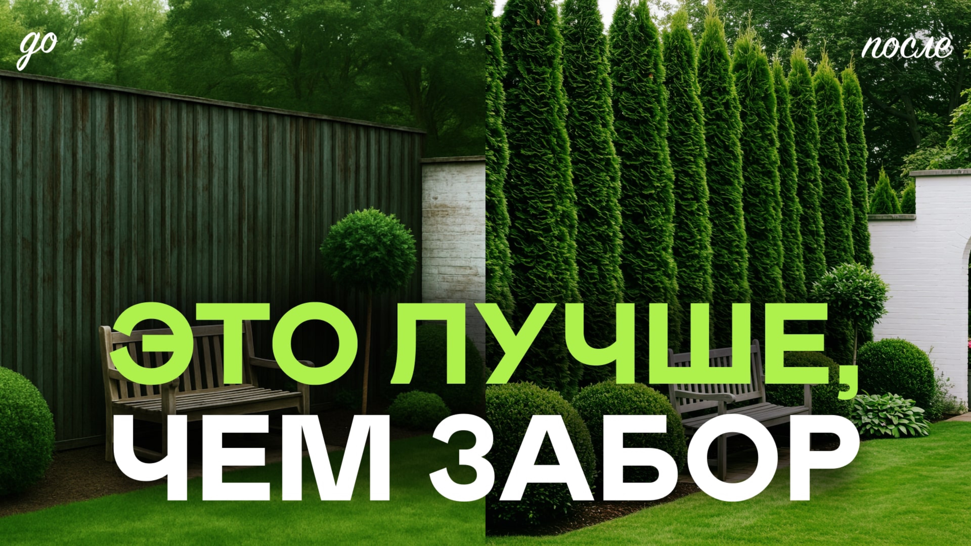 Что И Как Посадить Вдоль Своего Забора? Ошибки Которые Нельзя Допускать!