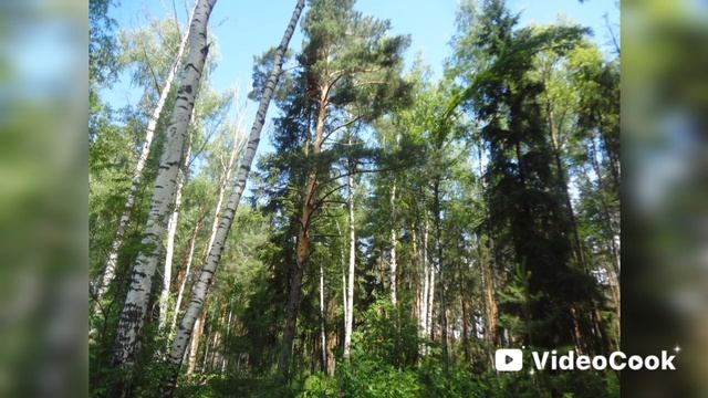 Ужас глазами орхеологов