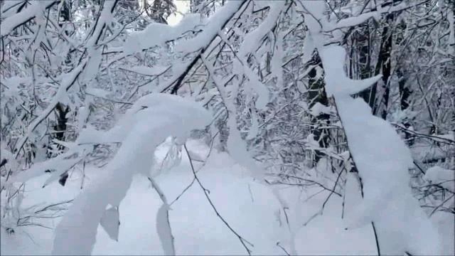 А годы летят...Новобеличи.Киев.