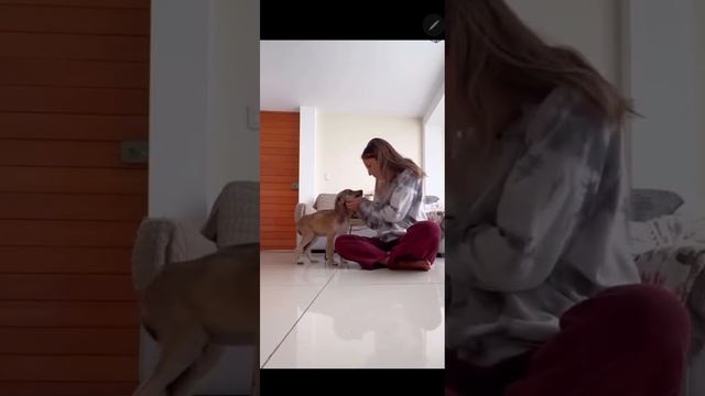 9 дней любви сотворили чудо