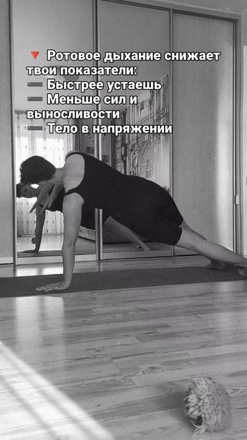 Что связывает дыхание, силу и выносливость?

#Фитнес #ДыханиеВСпорте #Энергия #ЗОЖ