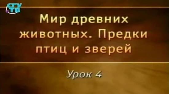 Предки птиц и зверей # 4. Был ли археоптерикс предком птиц?