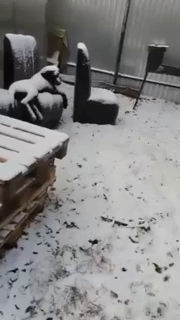 похолодало