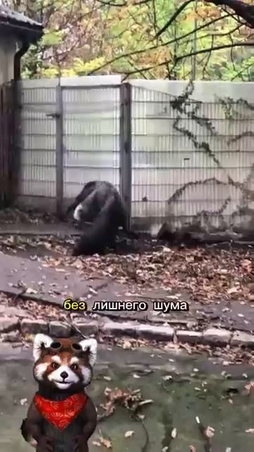 Муравьед🤣