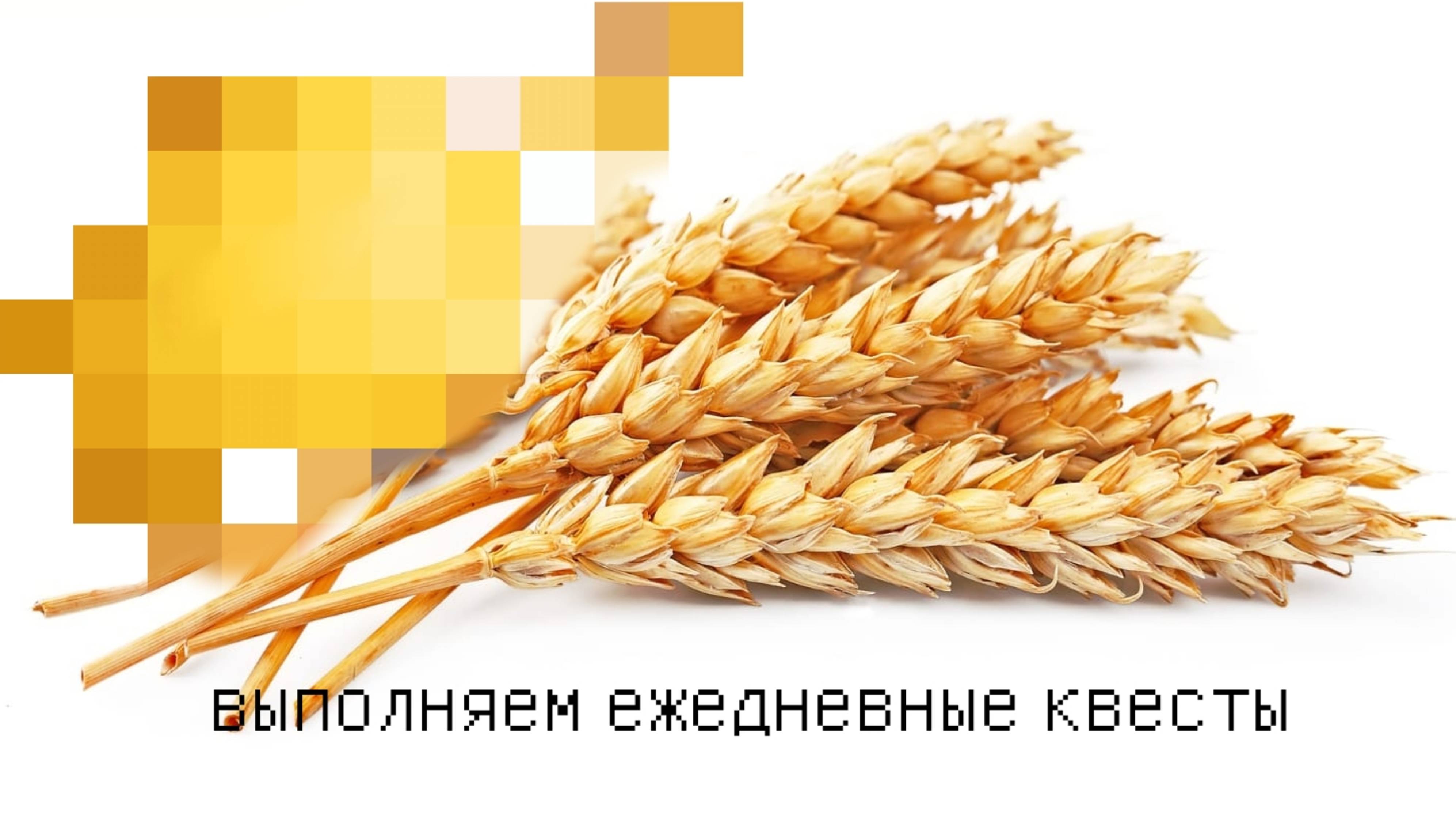 Выполняем ежедневные квесты, part 2