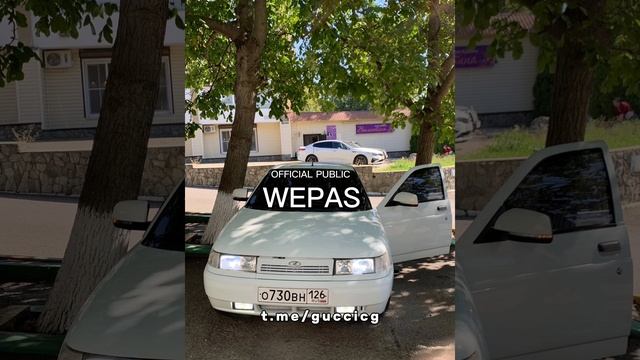 я пригрел змею - новая версия (Remix лезгинка)