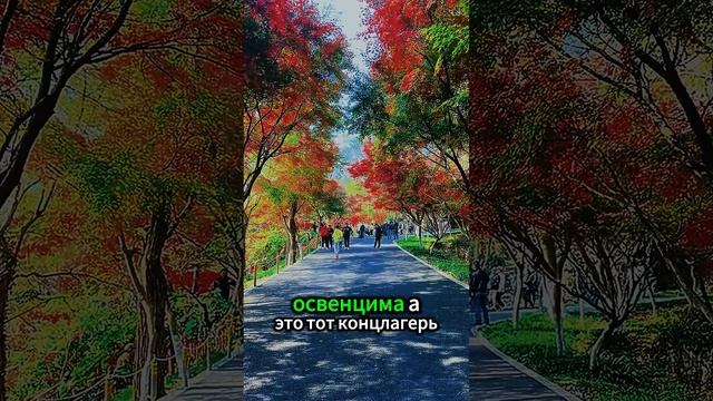 Ксения Буглак (1084)