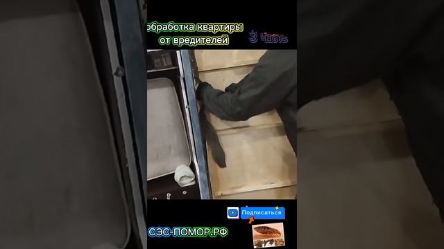 обработка квартиры часть 3