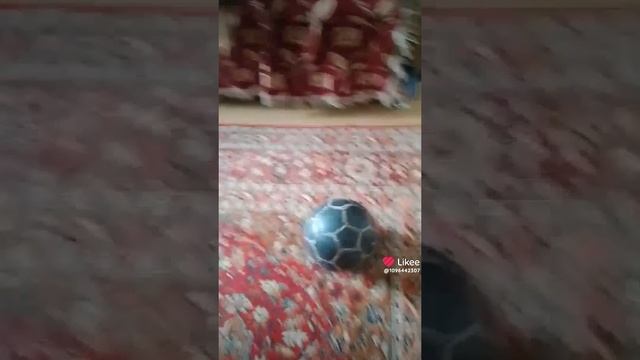 Женя