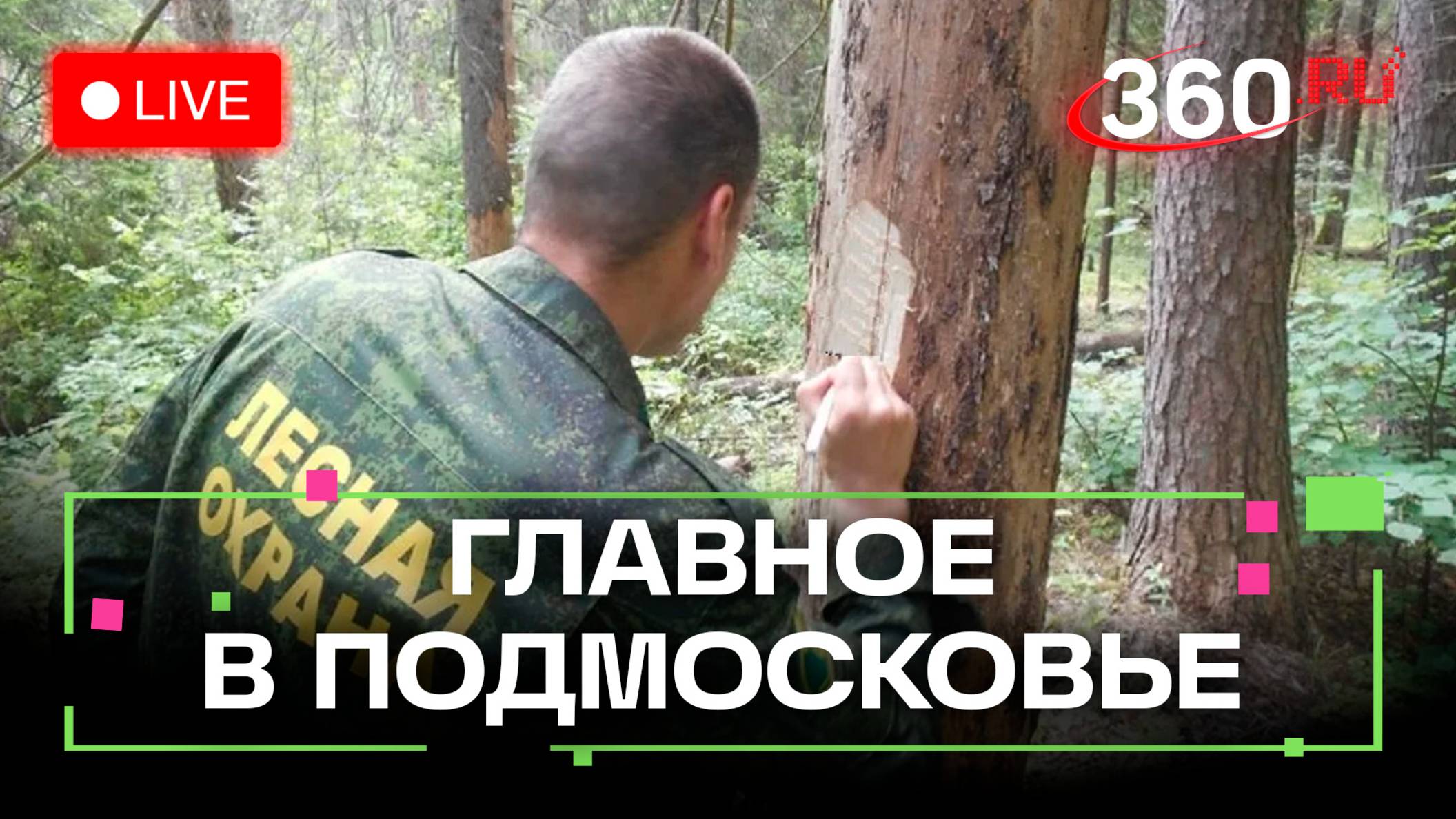 Как построить карьеру лесничего? 80 лет музыки в Сергиевом Посаде. Главное в Подмосковье