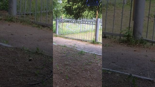 Как менее болезненно пройти эндоскопию