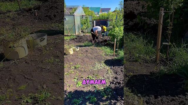 как мы моем паласы 3