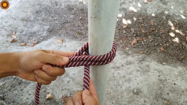 Two nodes are very important in everyday life