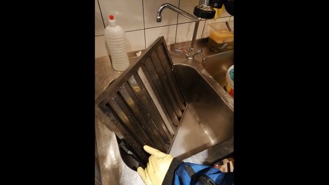 Санитарная служба Альянс-Дез