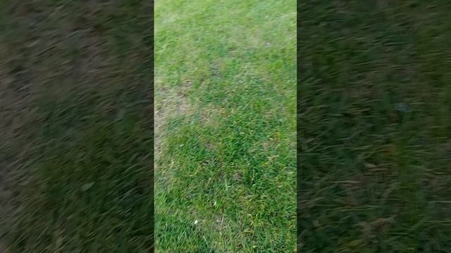 1000004676.mp4