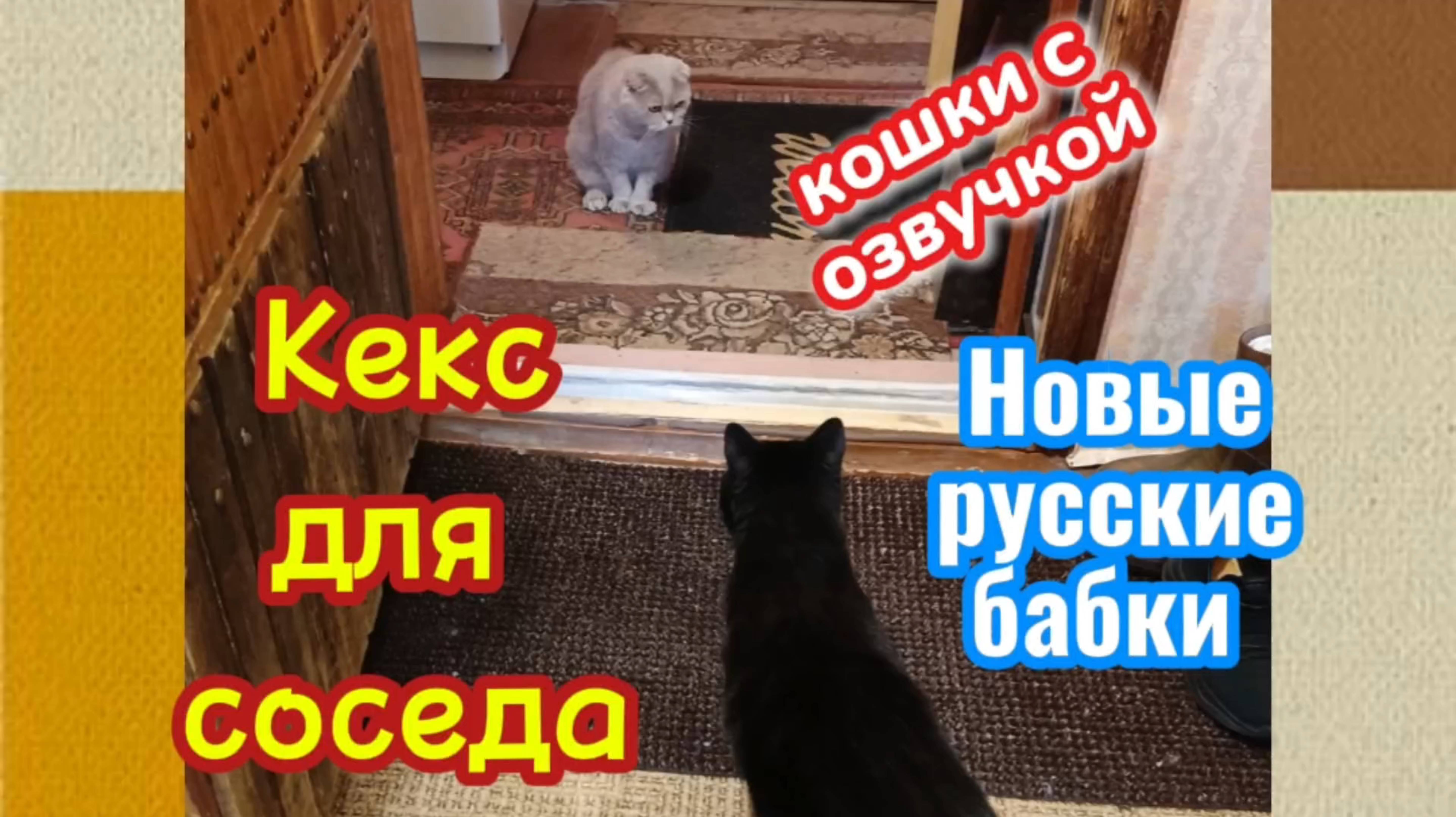 Юмо. Кошки с озвучкой. Новые русские бабки "Кекс для соседа"