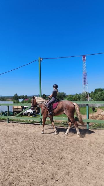 Ульяна и Каспер, рысь на плацу без стремян.