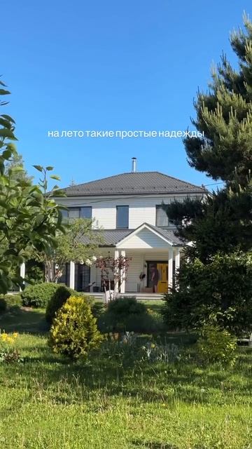 Утро. Лето. Тишина.
