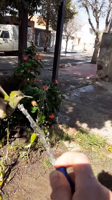 Посмеемся (703)