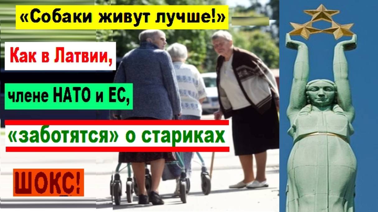 ШОКС! «Собаки живут лучше!» Как в Латвии, члене НАТО и ЕС, «заботятся» о стариках