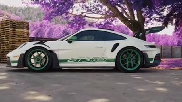 video5312190919502496062