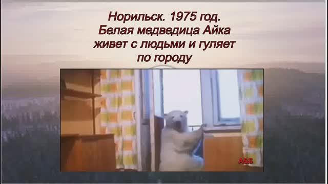🔥Айка. Норильск 1975 год