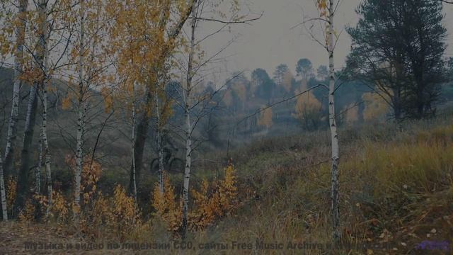 Видео, генерируемое ИИ в реальном времени - технологии поражают! - starfish -- los pilotos -- starfi