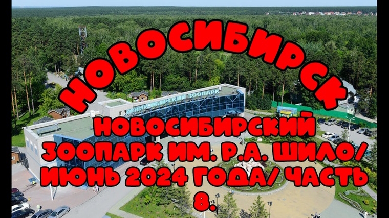 Новосибирский зоопарк имени Р.А. Шило. Июнь 2024 года. Часть 8.