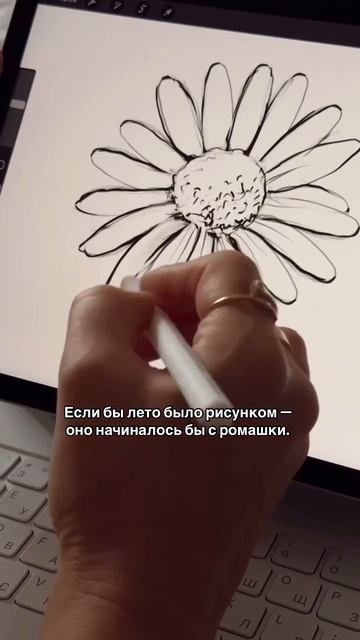Летний урок с ромашкой 🌼