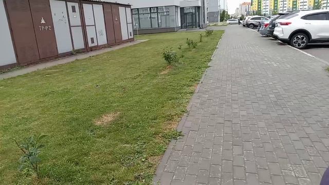 Барнаул /За два дня до лета снегопад.