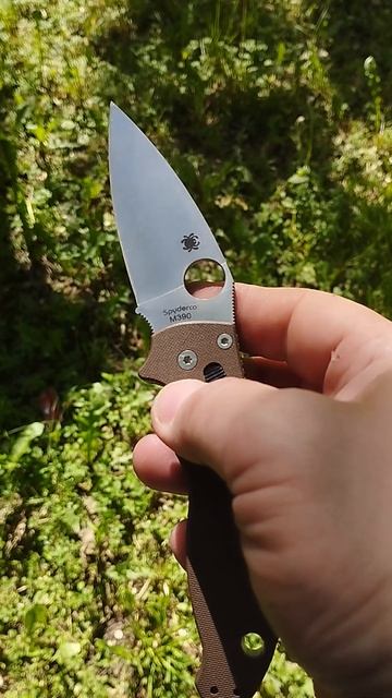 Что на кармане, у меня Spyderco Manix #shorts #чтонакармане #spyderco #manix #edc