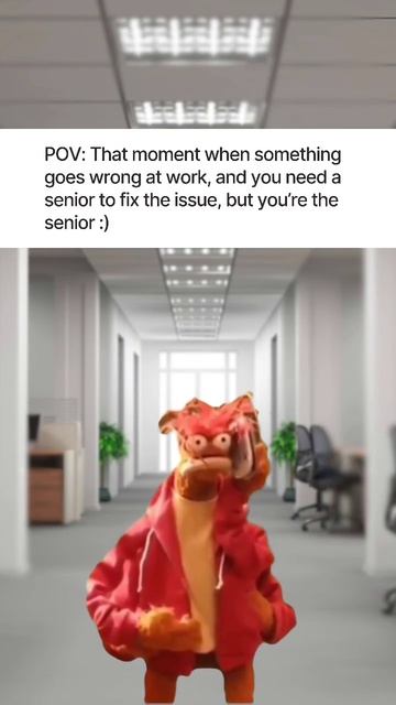 IT-мемы на каждый день