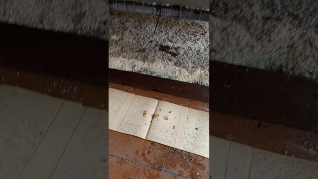 клетка для бройлеров