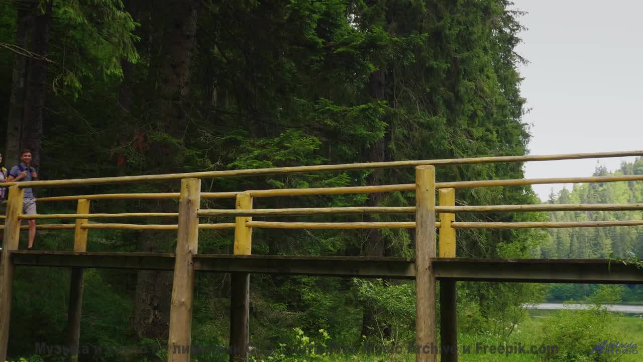 Под эту музыку даже лес выглядит как сказка - Empty Playground -- Ketsa -- 5D