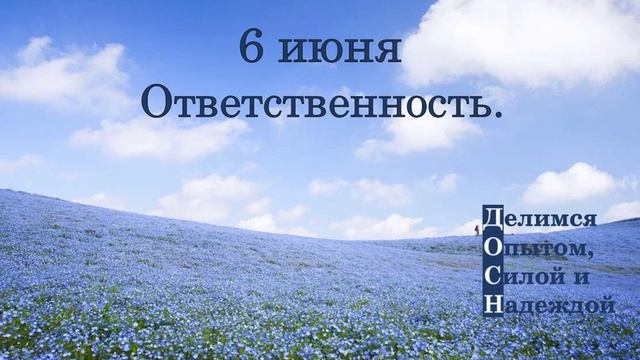 6 июня. Ответственность.