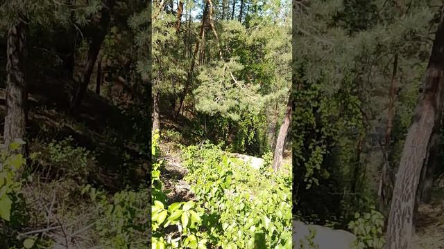 Странное место по дороге в село Курьи.