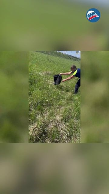 Опасное объятие: удав прокусил и обвил руку женщине в Новороссийске