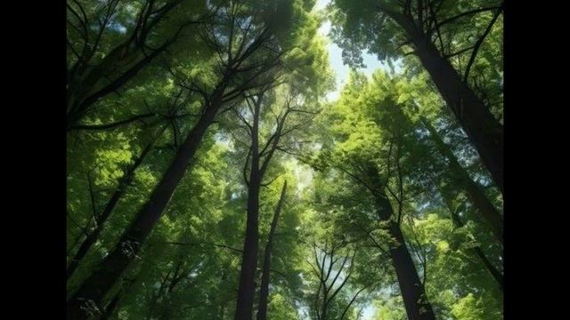 А я покупала квартиру себе, не для того, чтобы твоя мат?