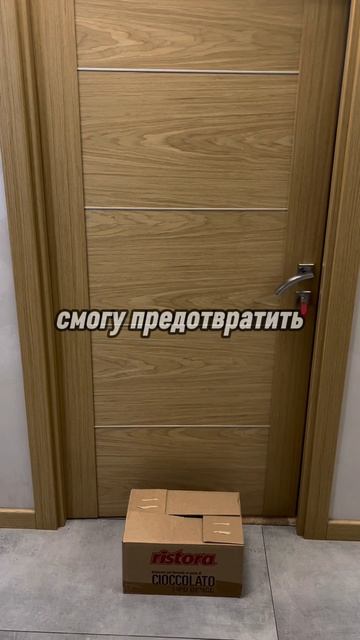 Теория кота Шредингера!