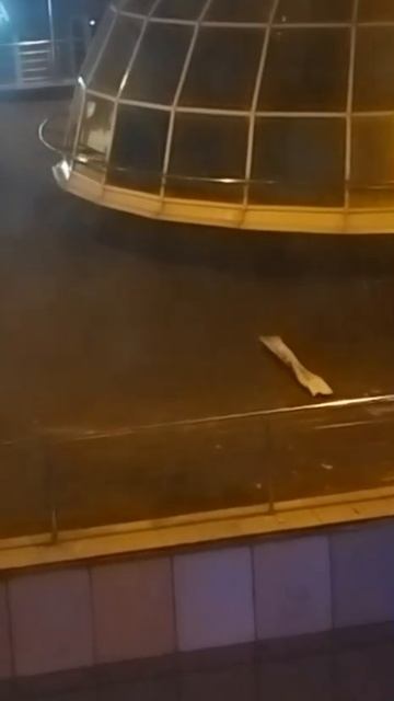 Жители Тропарево-Никулино публикуют видео с, предположительно, обломками беспилотника