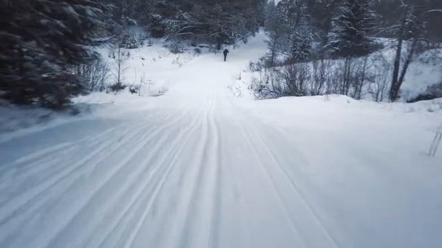 пробежка на лыжах в 2020 году!
